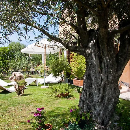 Hotel Alador Tanaunella