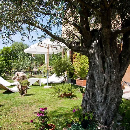 Hotel Alador Tanaunella